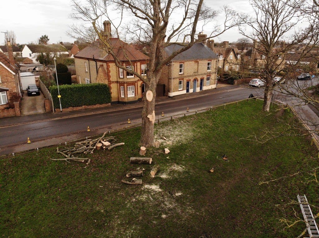 Tree Management Cambridge